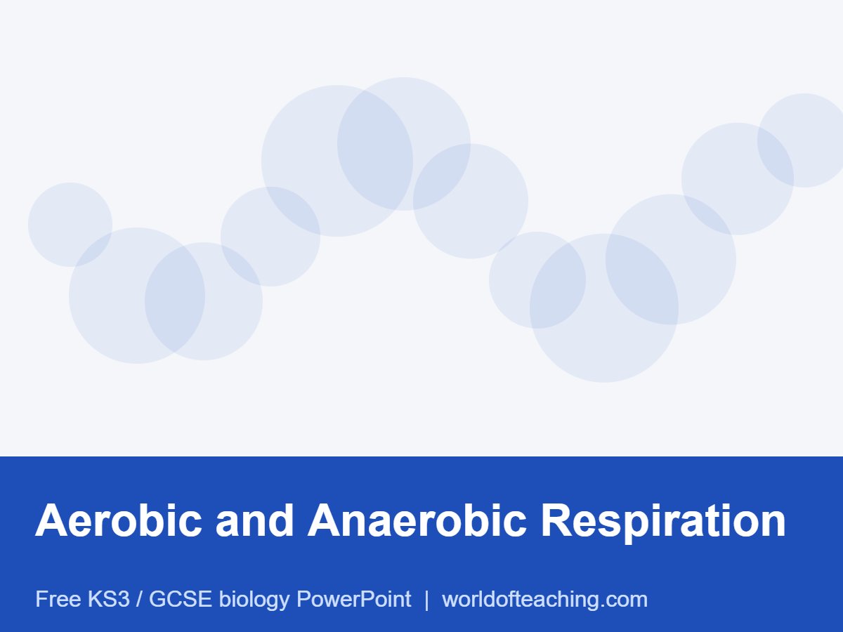 Aerobic and Anaerobic Respiration PowerPoint