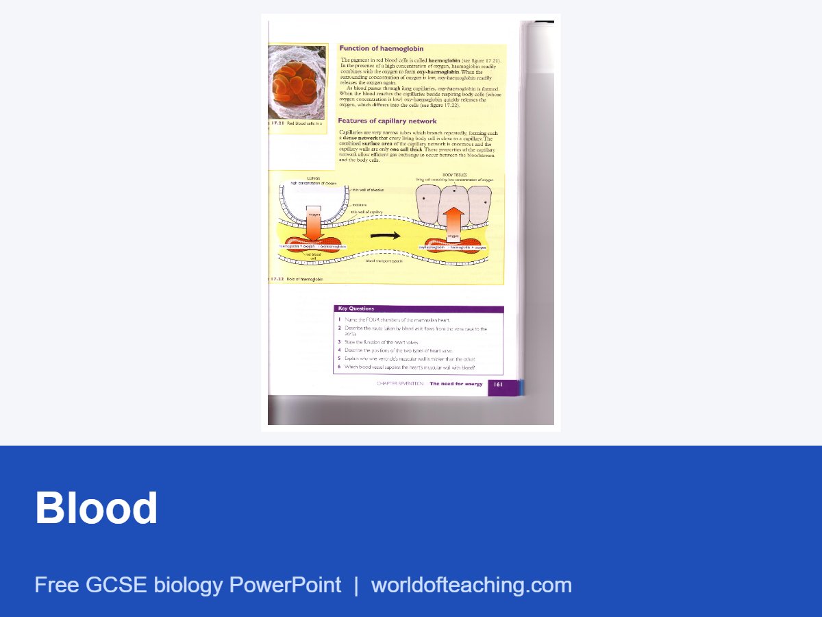 Blood PowerPoint