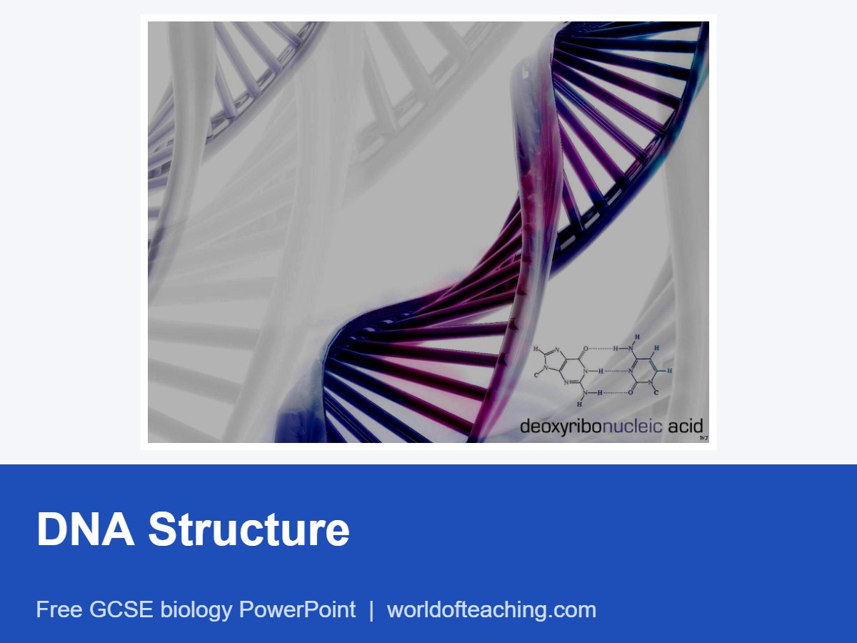 DNA Structure PowerPoint