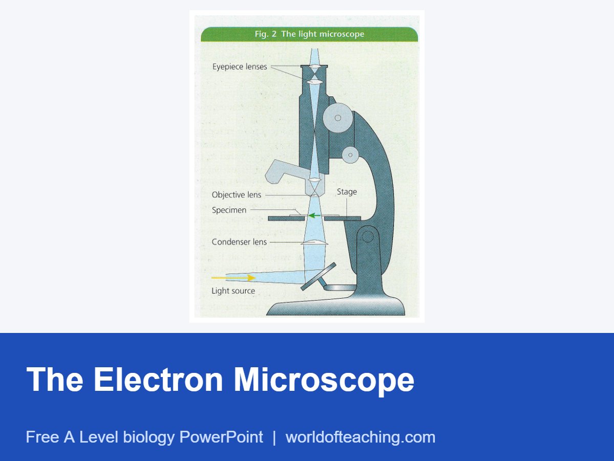 The Electron Microscope PowerPoint