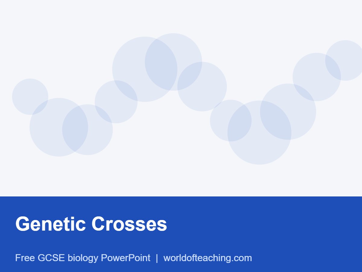 Genetic Crosses PowerPoint