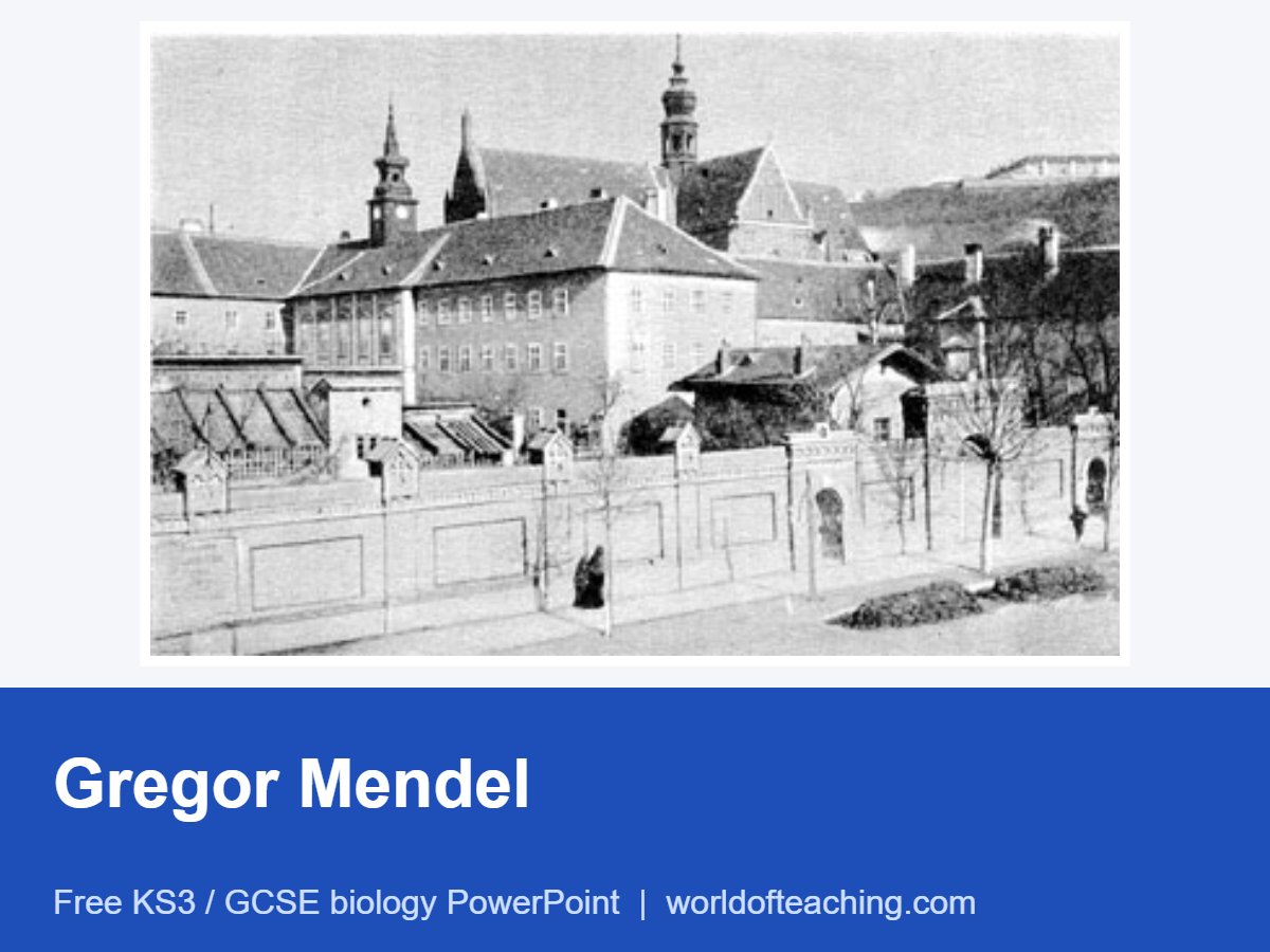 Gregor Mendel PowerPoint