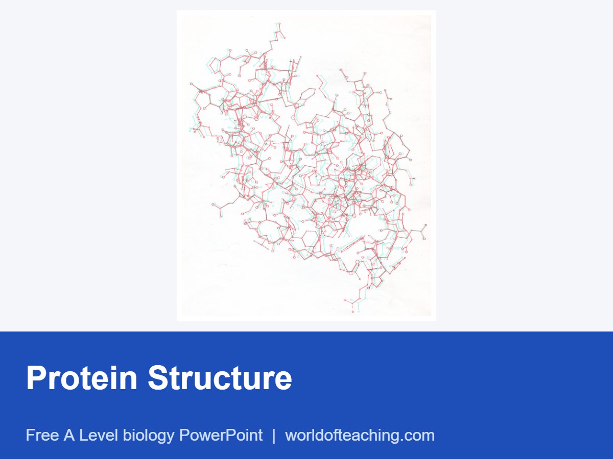 Protein Structure PowerPoint