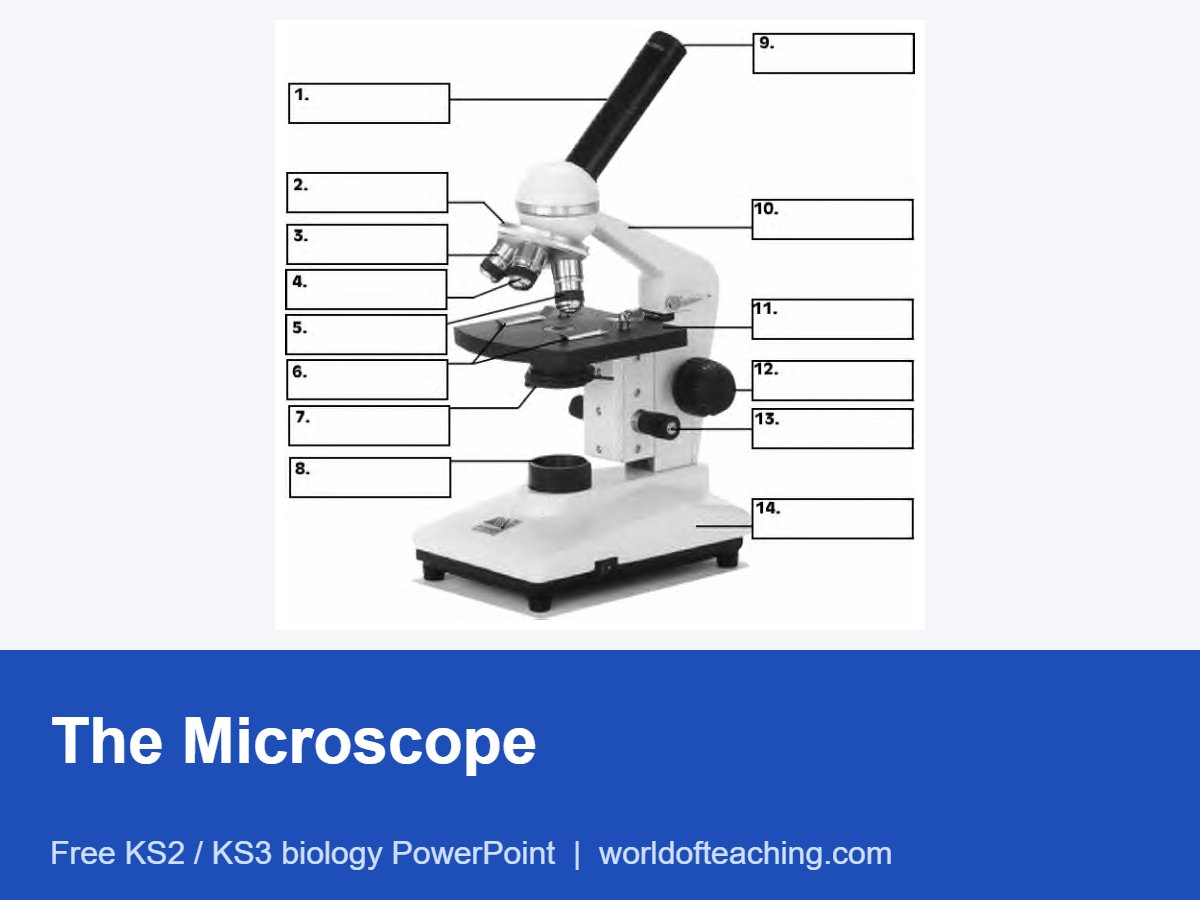 The Microscope PowerPoint